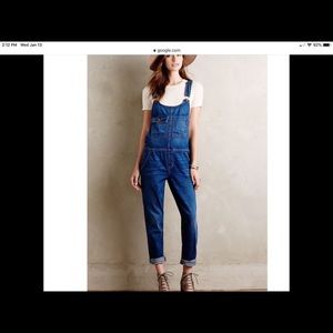Current Elliott NWOT The Carpenter Overalls L 3
